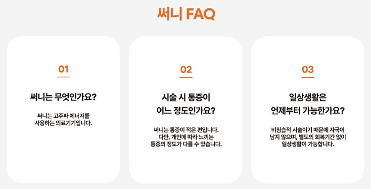 지니써니 이미지