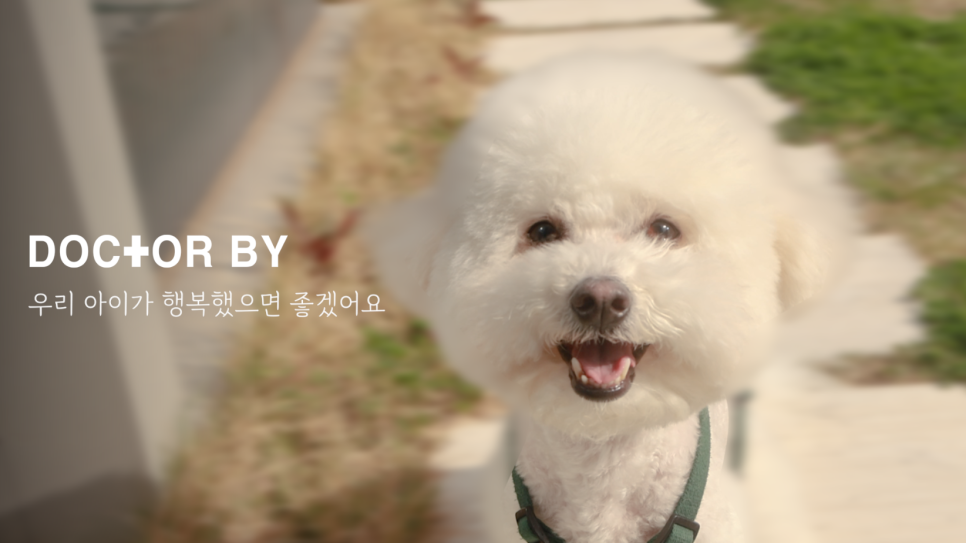 (주)바로닥터 이미지