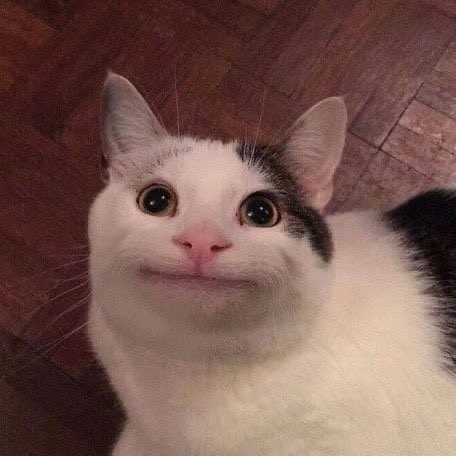 카이테키 이미지