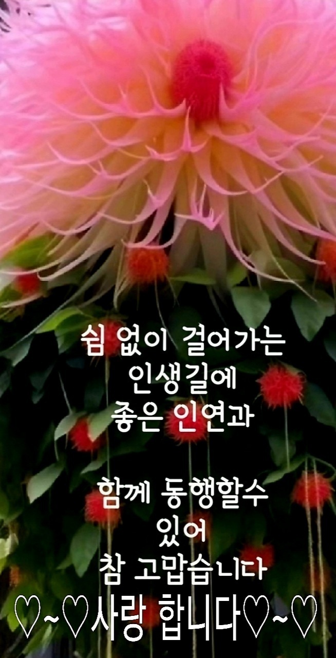 장사이야기 이미지