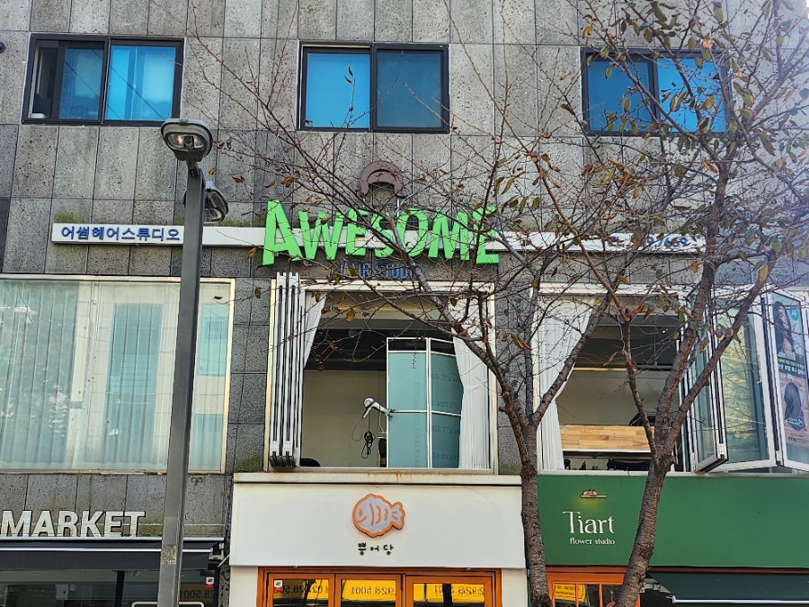 선해어 이미지
