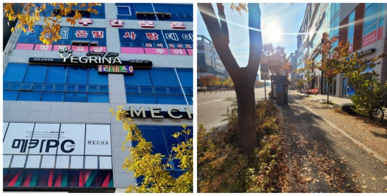 예그리나뷰티샵 이미지