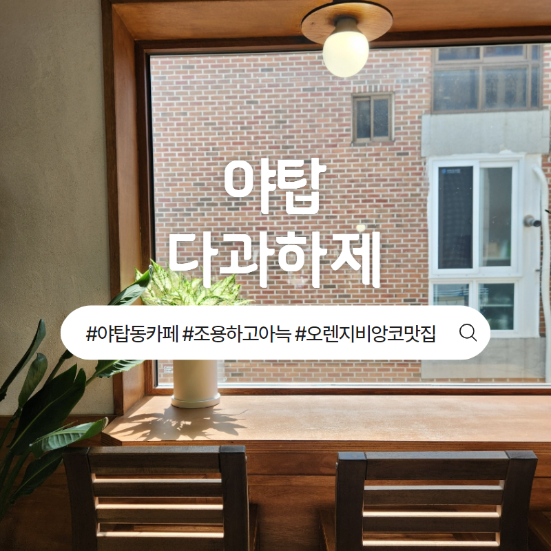 다과하제 이미지