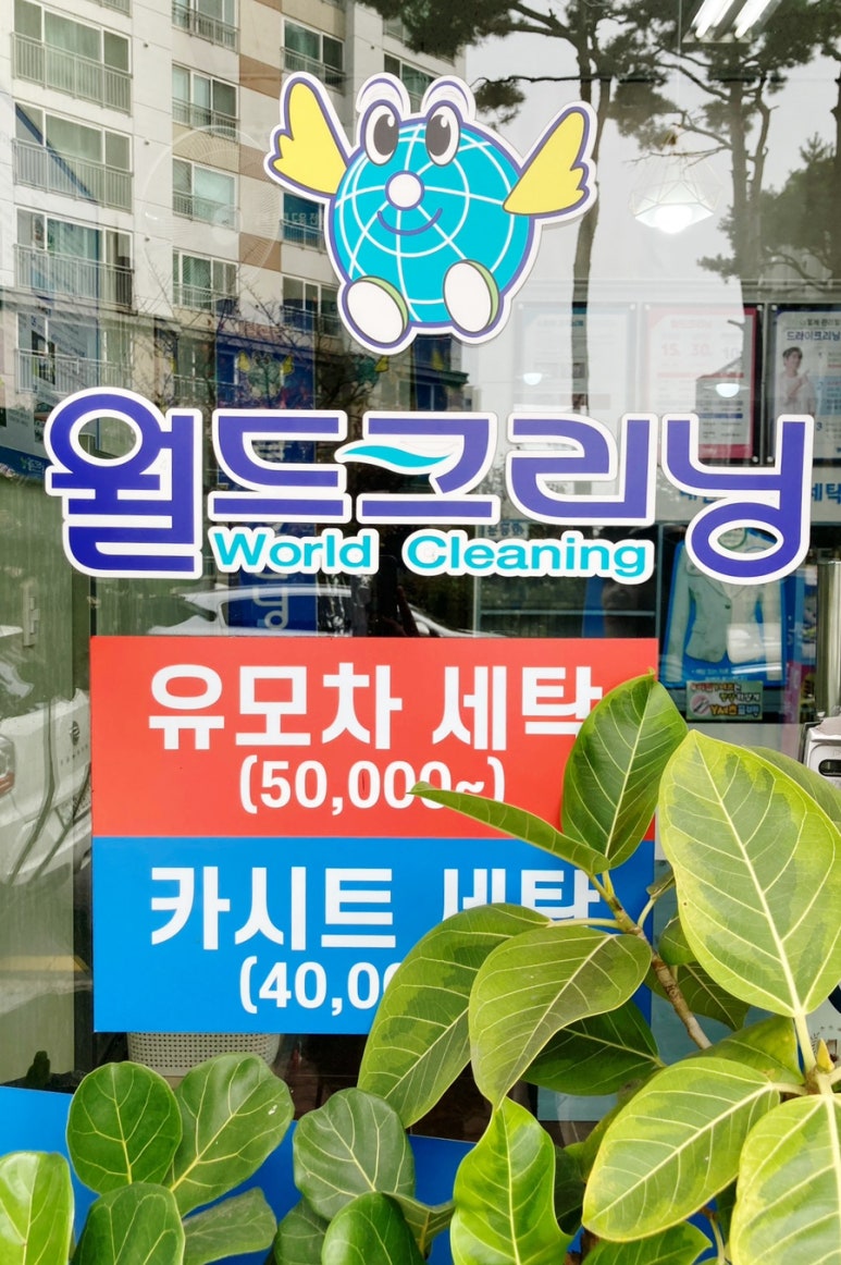 월드크리닝광주 이미지