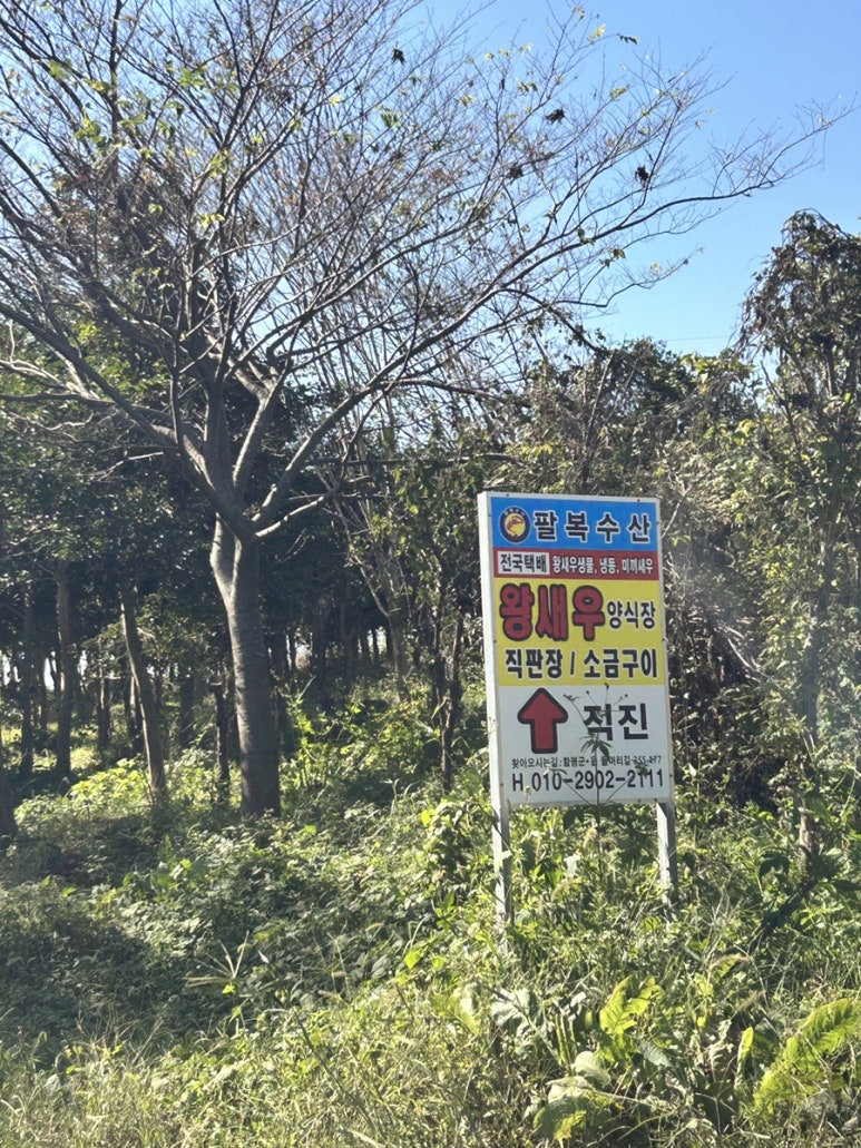 팔복수산 이미지