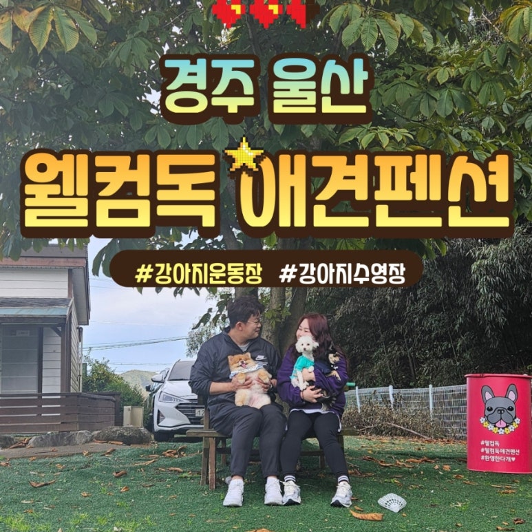 웰컴독 이미지