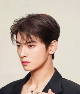 보이스컷 이미지