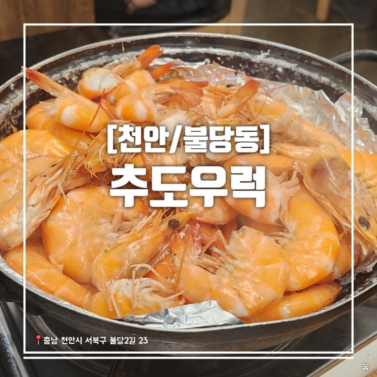추도우럭 이미지