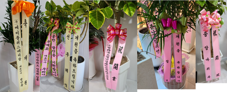 뷰티드림성형외과 이미지