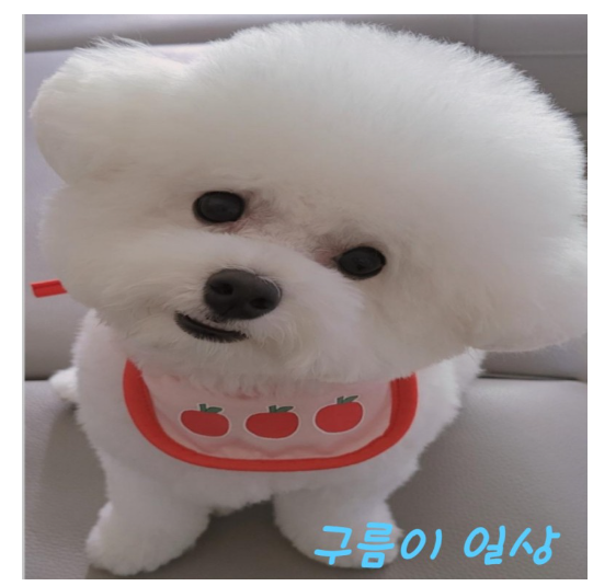 투썸플레이스 터미널점 이미지