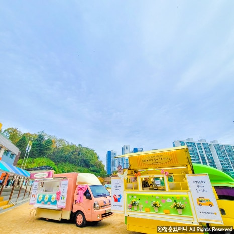치악초등학교 이미지