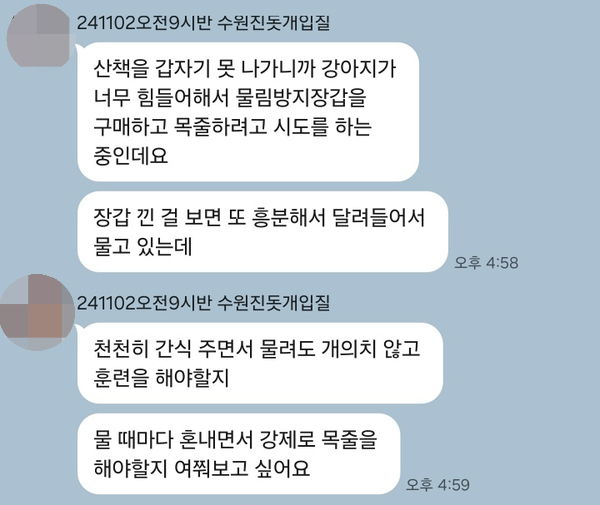 진도믹스 찰떡이 공격성 1회 교정 성공 후기 — 사진 5