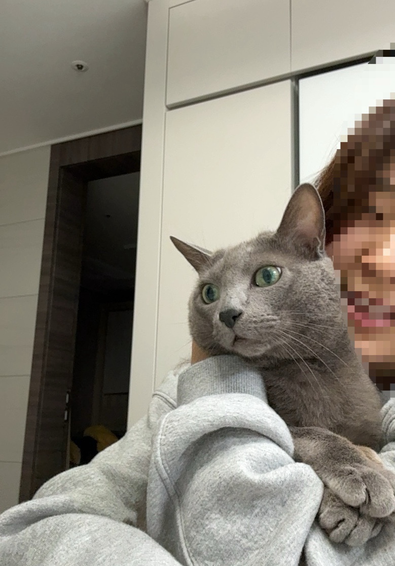 일일일영 이미지