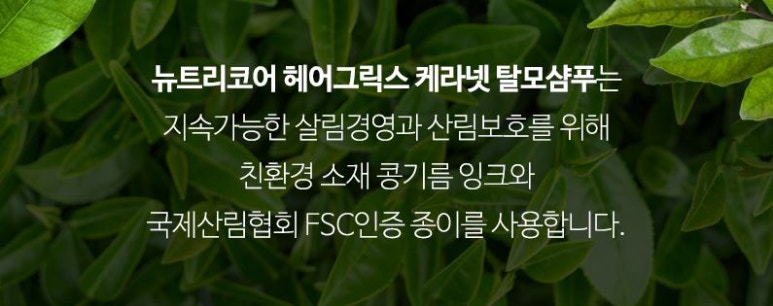 케라헤어 이미지