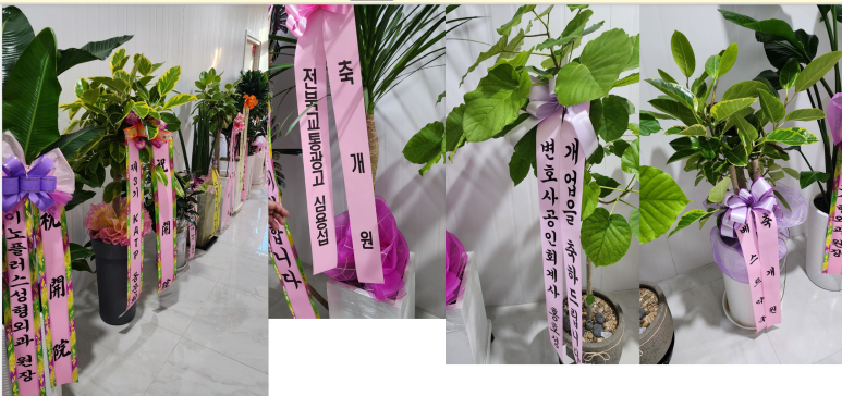 뷰티드림성형외과 이미지