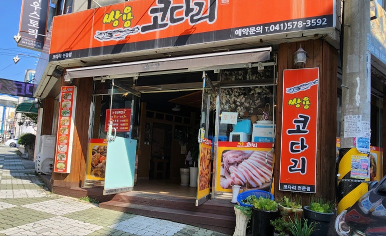 쌍용코다리 이미지