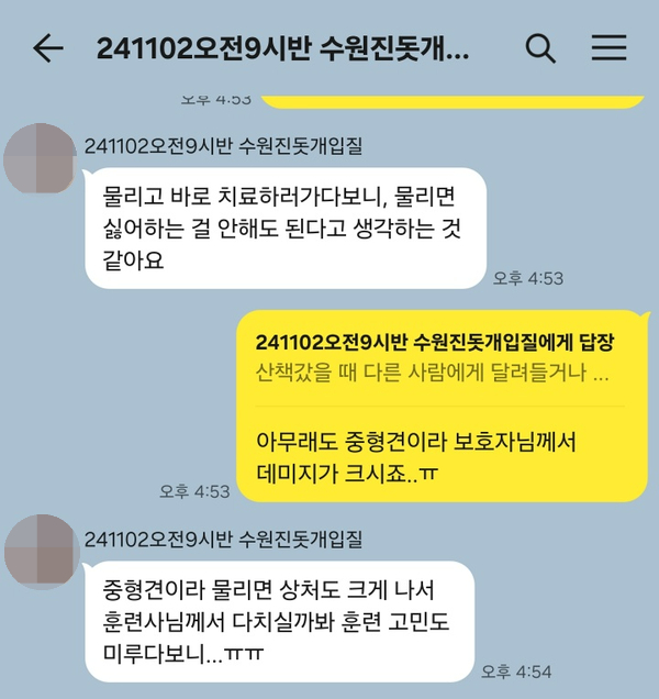 진도믹스 찰떡이 공격성 1회 교정 성공 후기 — 사진 3