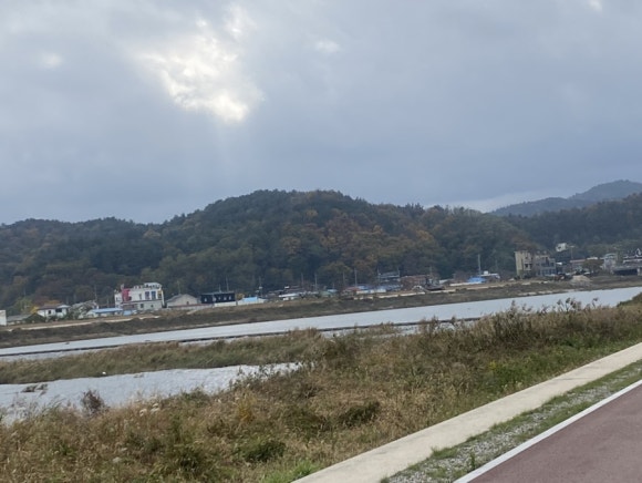메밀꽃막국수에빠지다 이미지