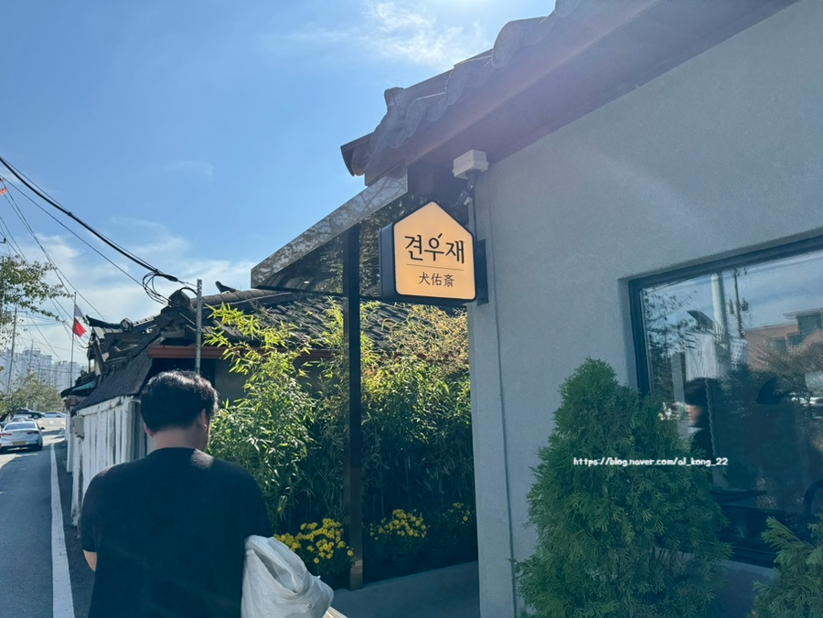 대전 애견 동반 여행: 견우재 운동장 & 에어비앤비 후기 — 사진 2