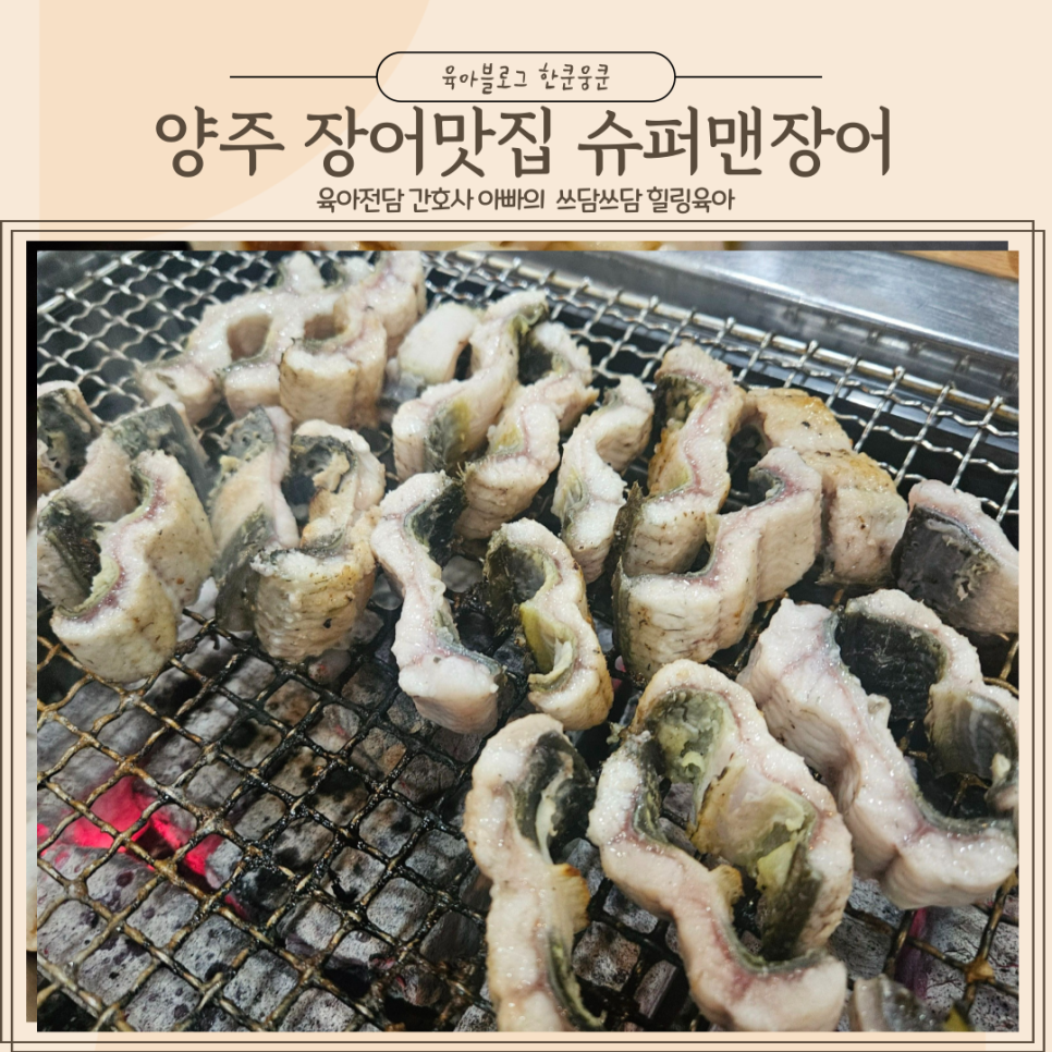 슈퍼맨장어 이미지