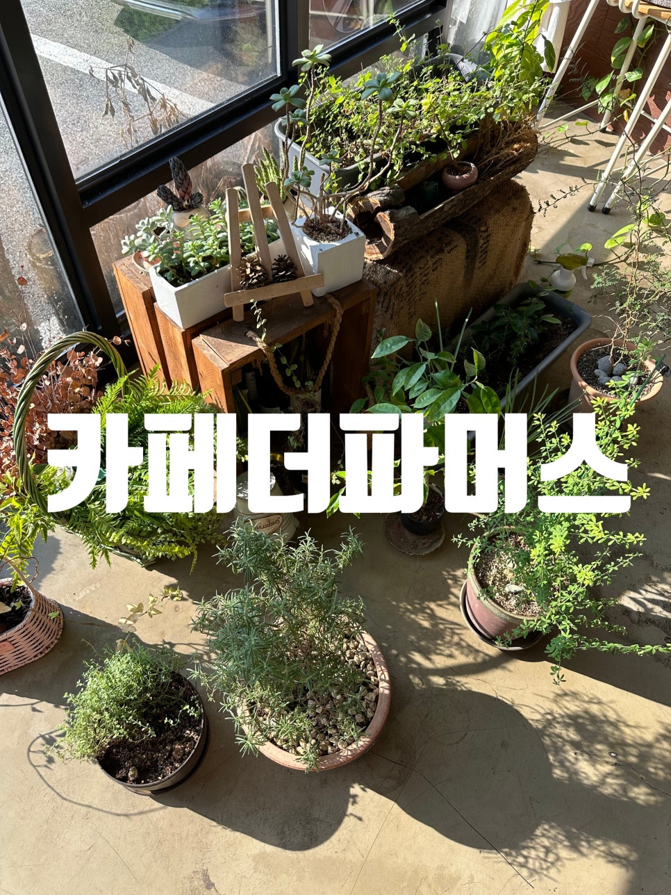 카페더파머스 이미지
