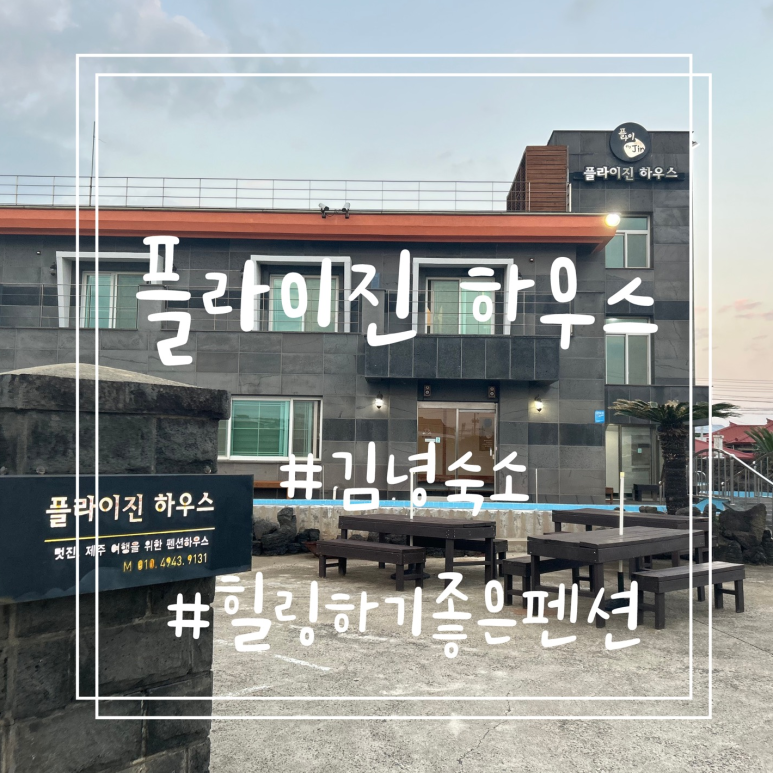 플라이진 이미지