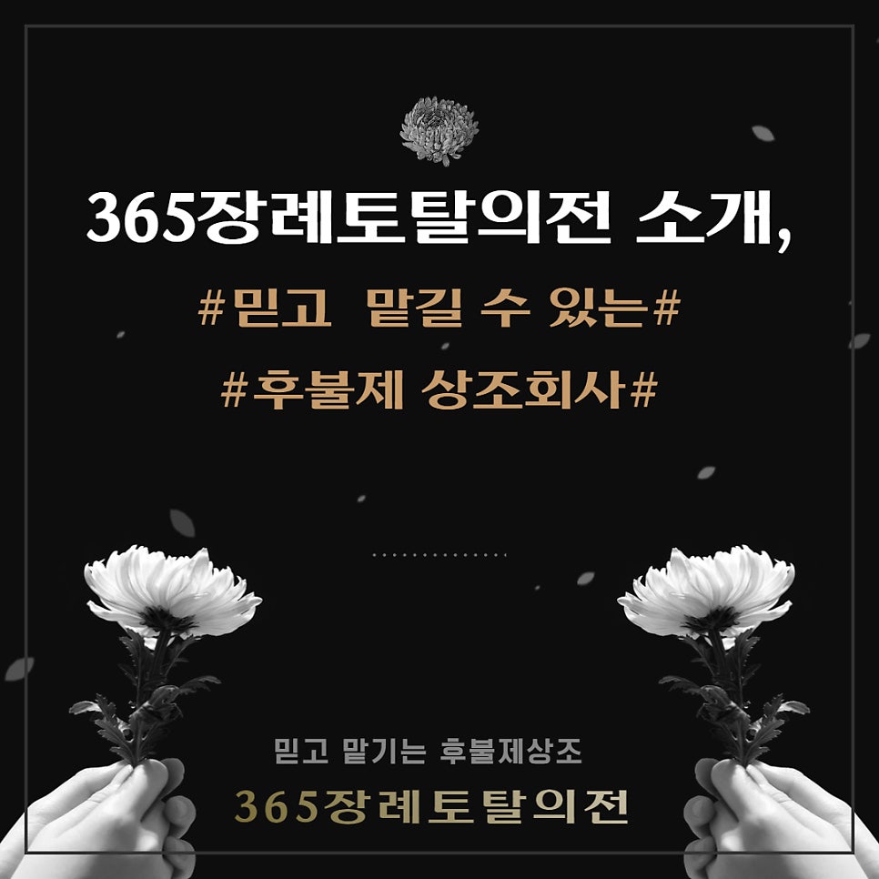 365의전 이미지