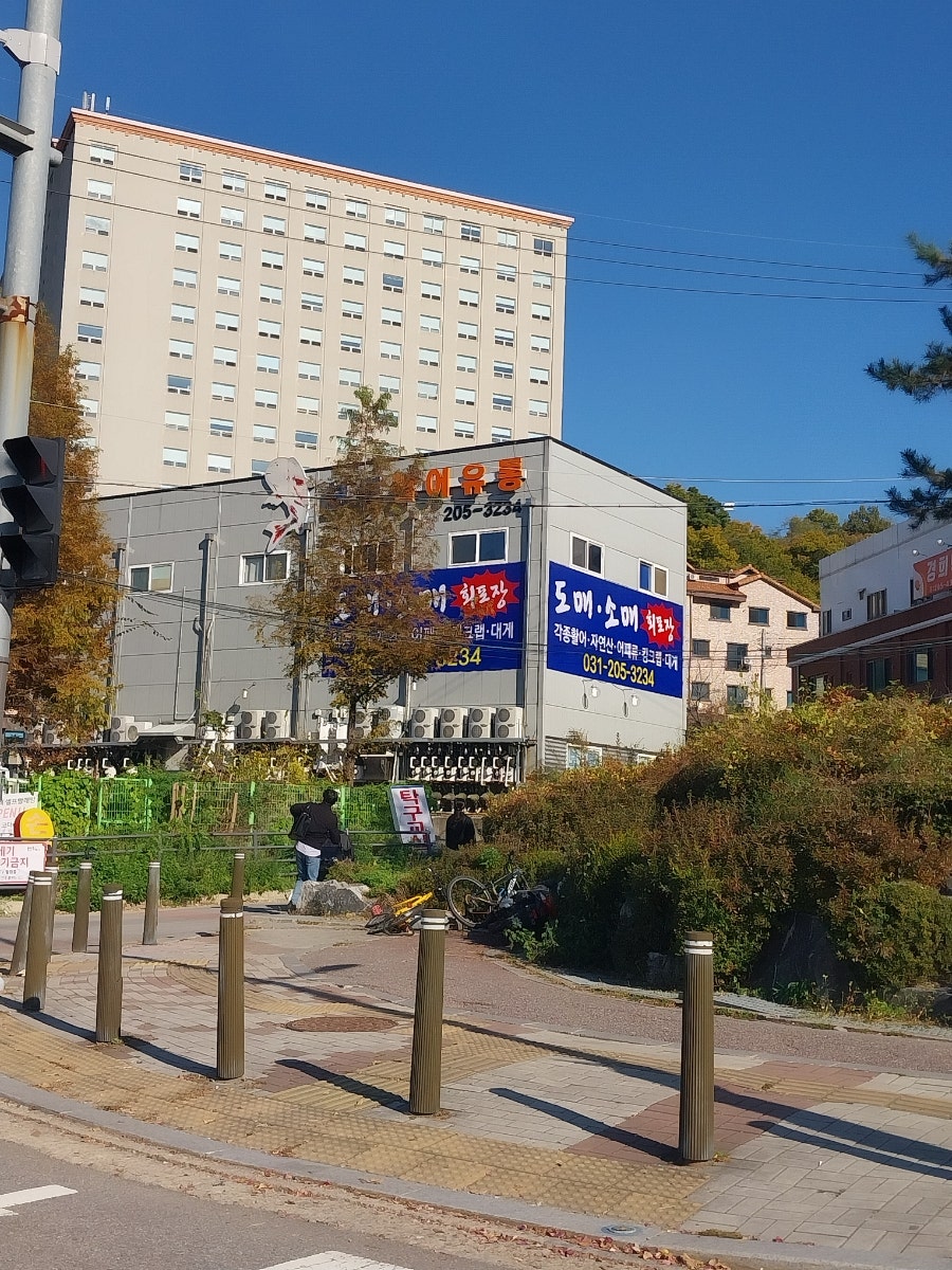 신선활어소매점 이미지