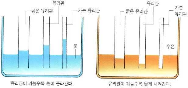 (주)스테르나 이미지