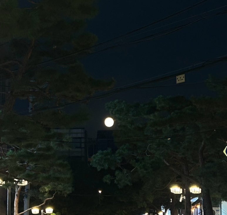 집고치는오빠 이미지