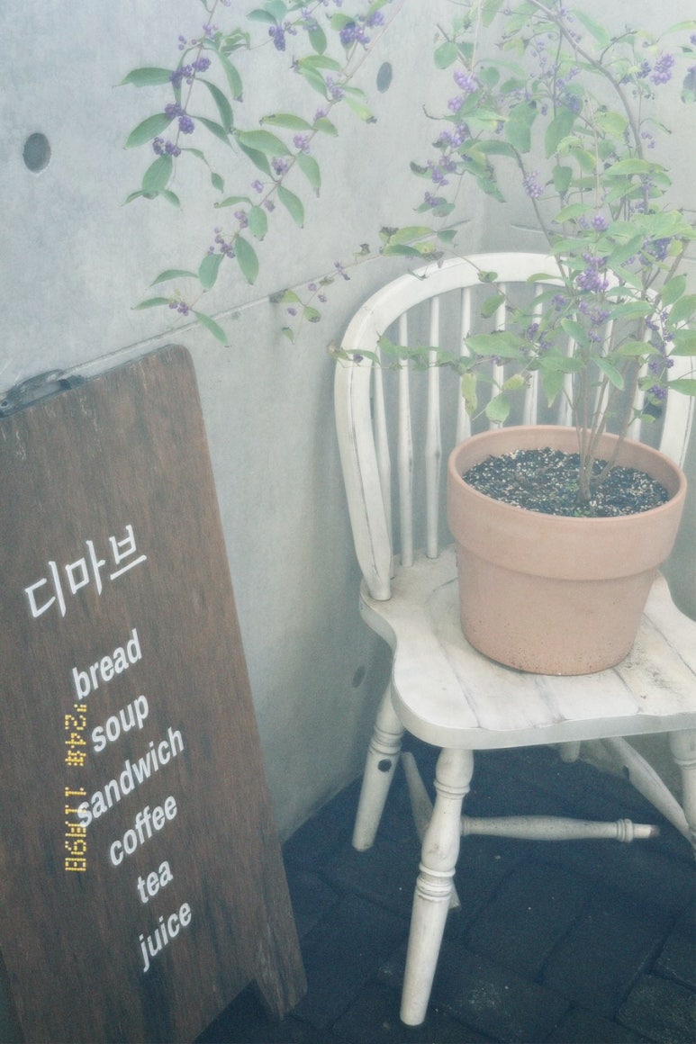 디마브 이미지