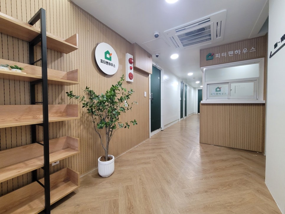 피터팬하우스 이미지