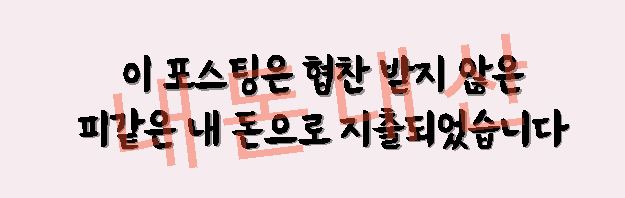 병수네 이미지