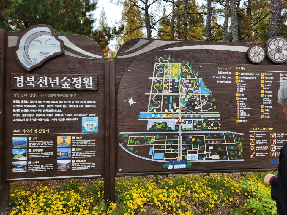 천년숲 유아숲체험원 이미지