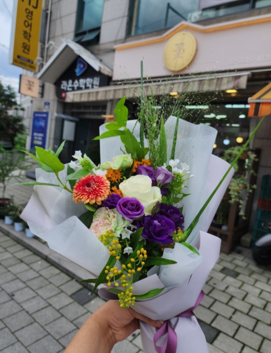 다미클린 이미지