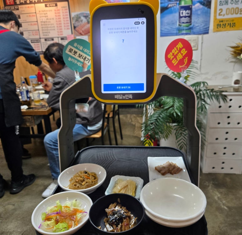 돌산아나고 이미지