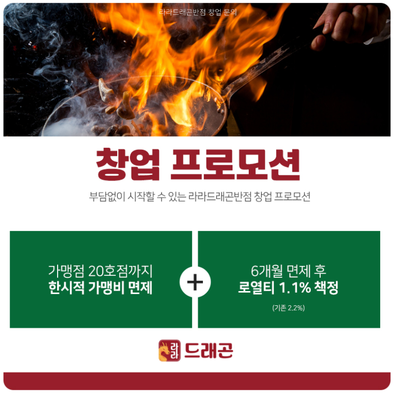 드래곤시스템 이미지