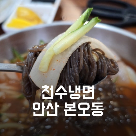 천수냉면 이미지