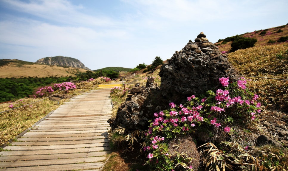 산정상경관 이미지