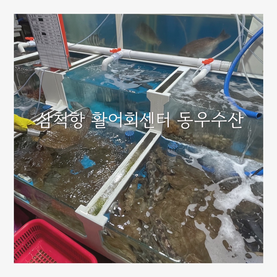 동우수산 이미지