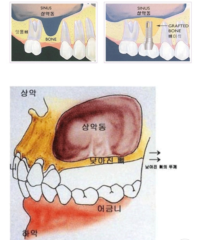 에이스치과의원 이미지