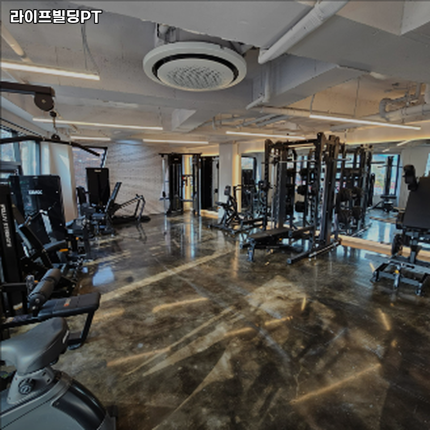 라이프빌딩PT 이미지