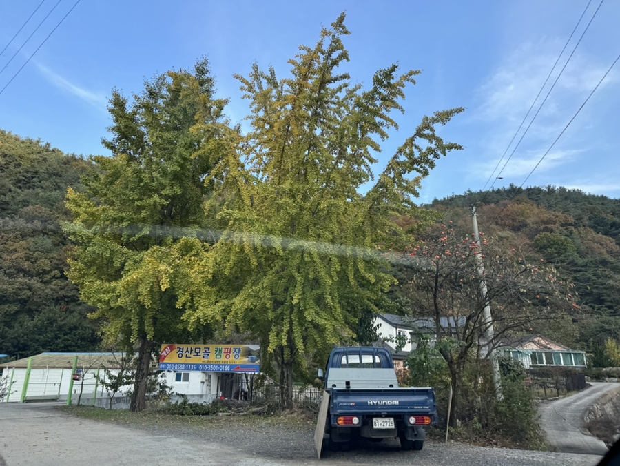 경산모골캠핑장 이미지