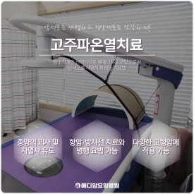 대구나무병원 이미지
