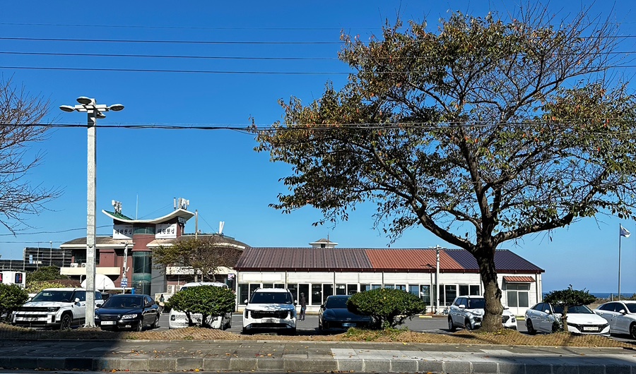 마농꽈배기 이미지