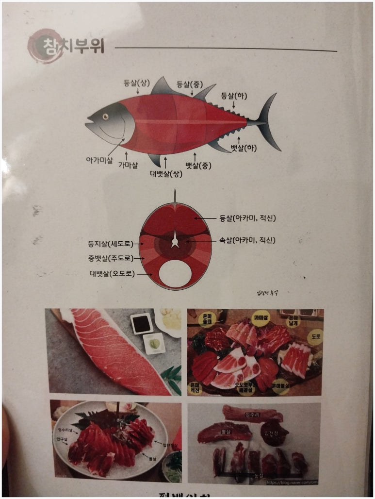 참치어화 이미지