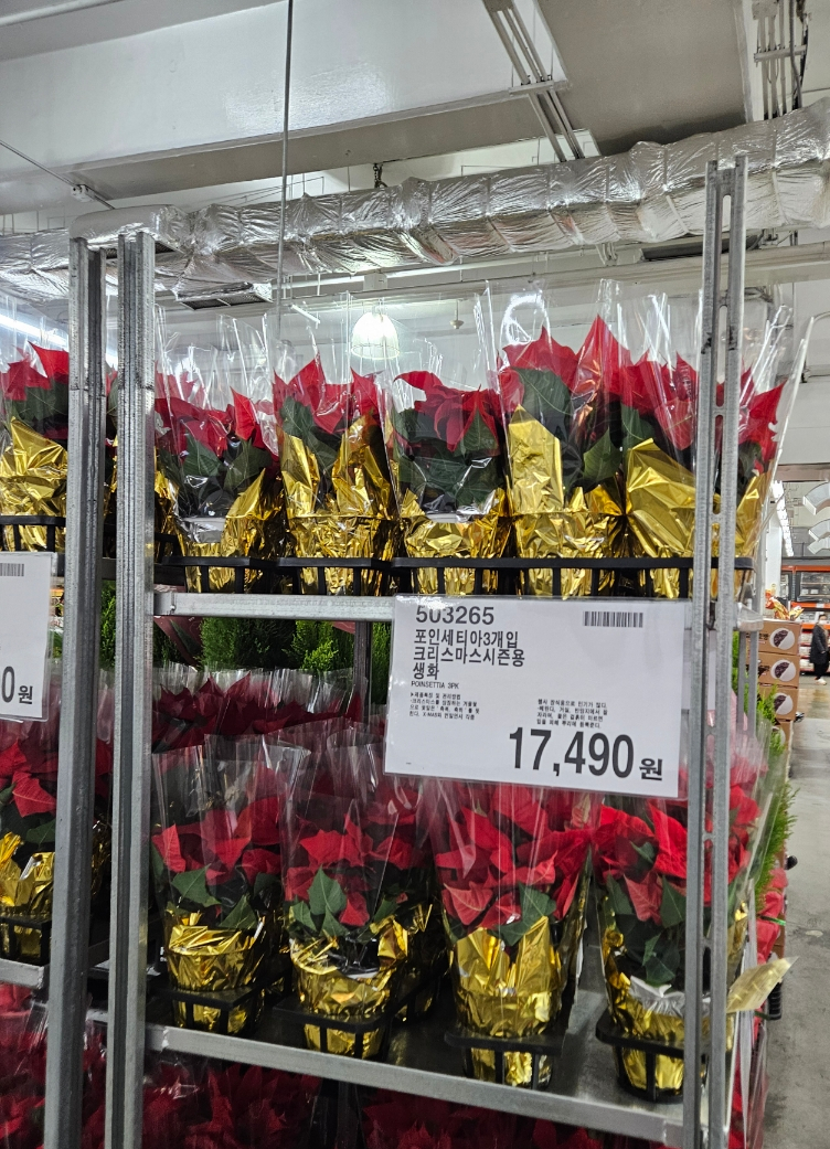 (주)코스트코 코리아(양평점) 이미지