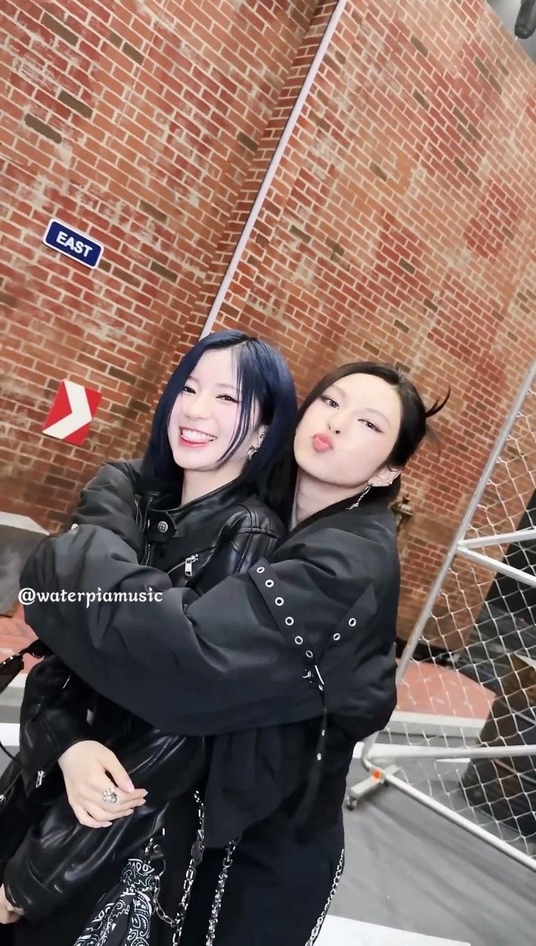 미니멀새비지 이미지