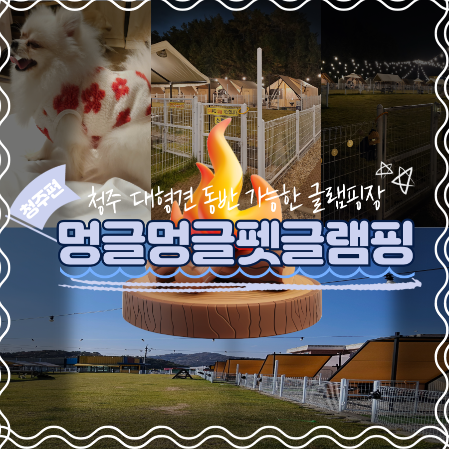 멍글멍글펫글램핑 이미지