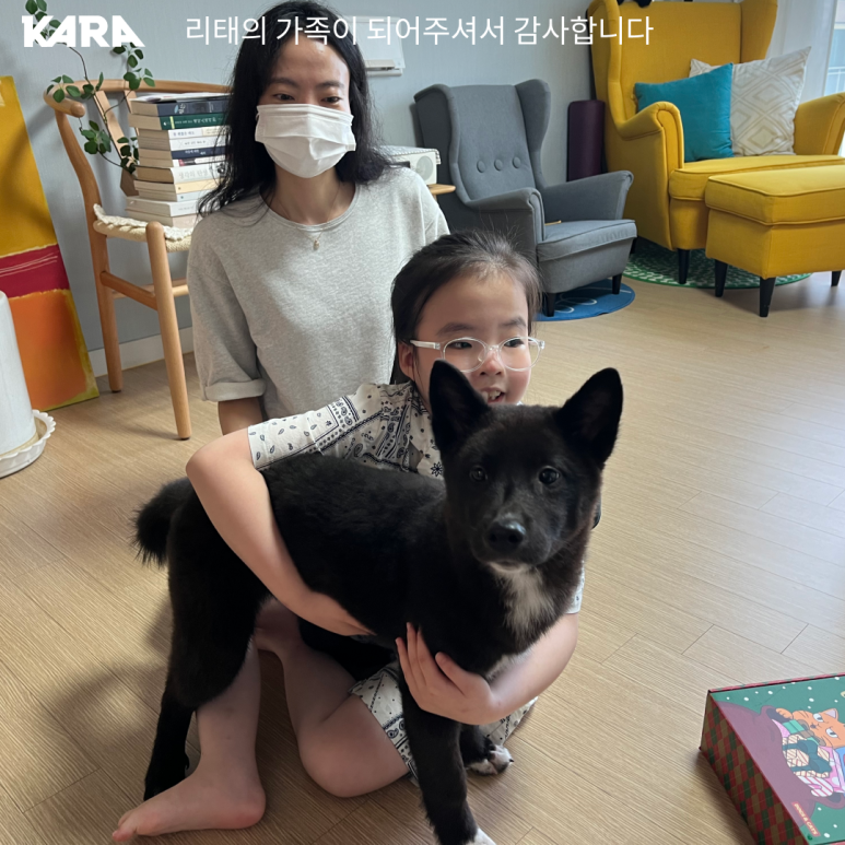 리태 이미지